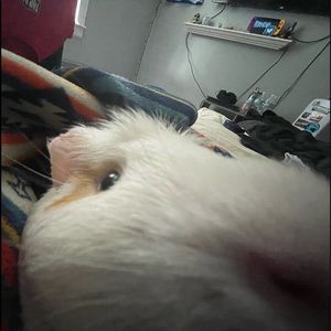 Meet your Posher, Jack